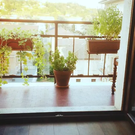 Citta Giardino Appartement *